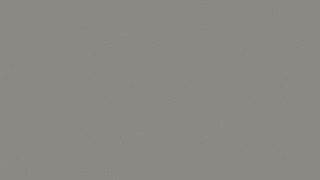 Warm Grey